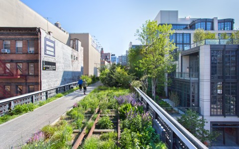 High Line track between buildings